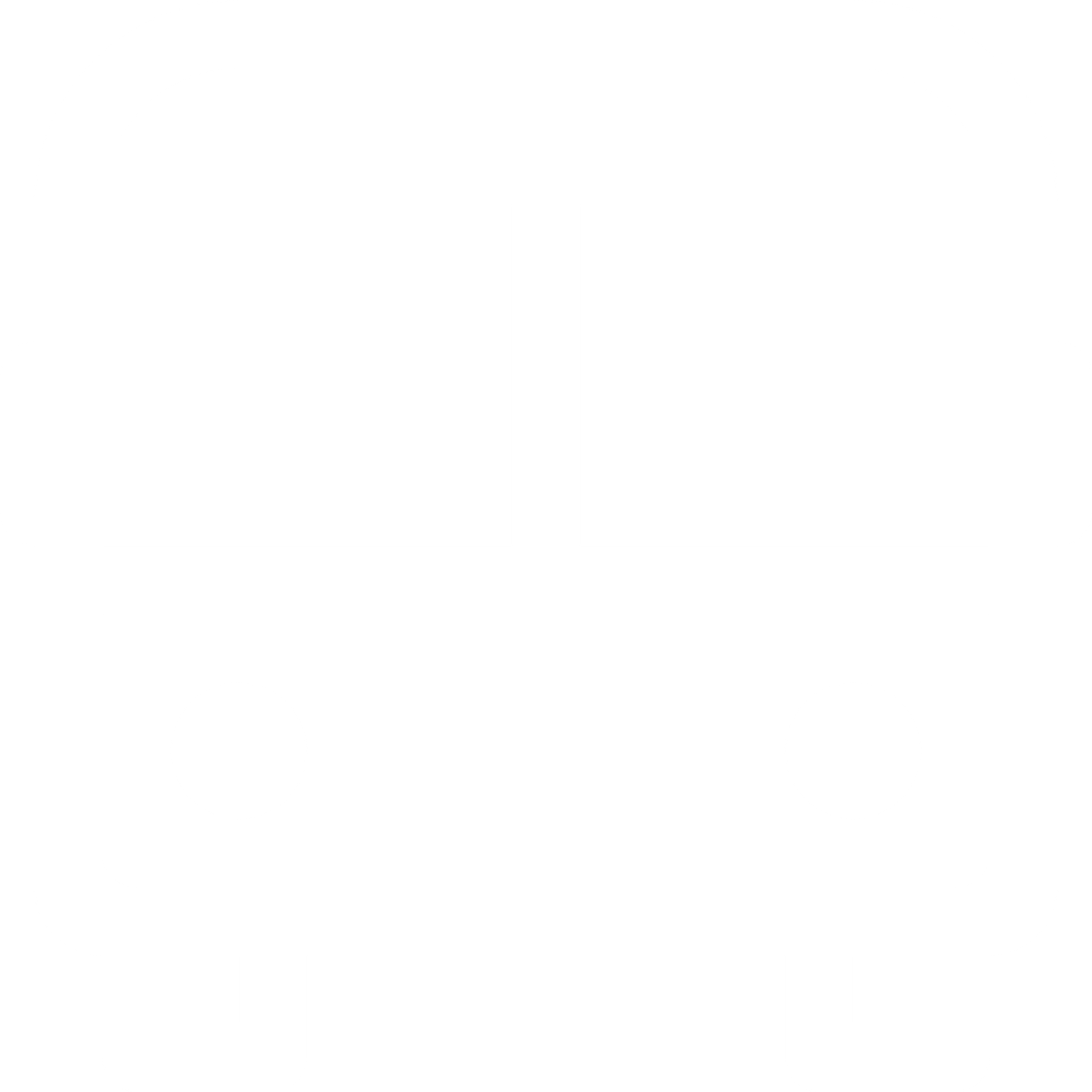 A white vector icon